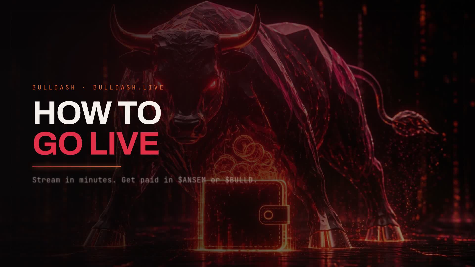 BullDash video guide: how to go live